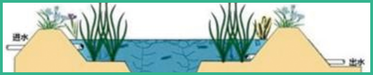 人工濕地，表面流人工濕地