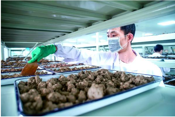 土壤檢測(cè)的類(lèi)別有哪些？