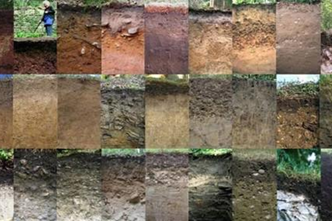 開(kāi)展土壤專項(xiàng)評(píng)估調(diào)查的目的