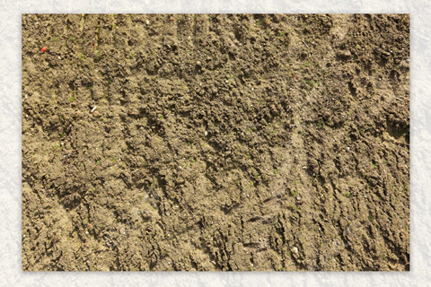 <a href=http://m.efco-dueren.cn/turangjiance.html>土壤檢測</a> 土壤檢測